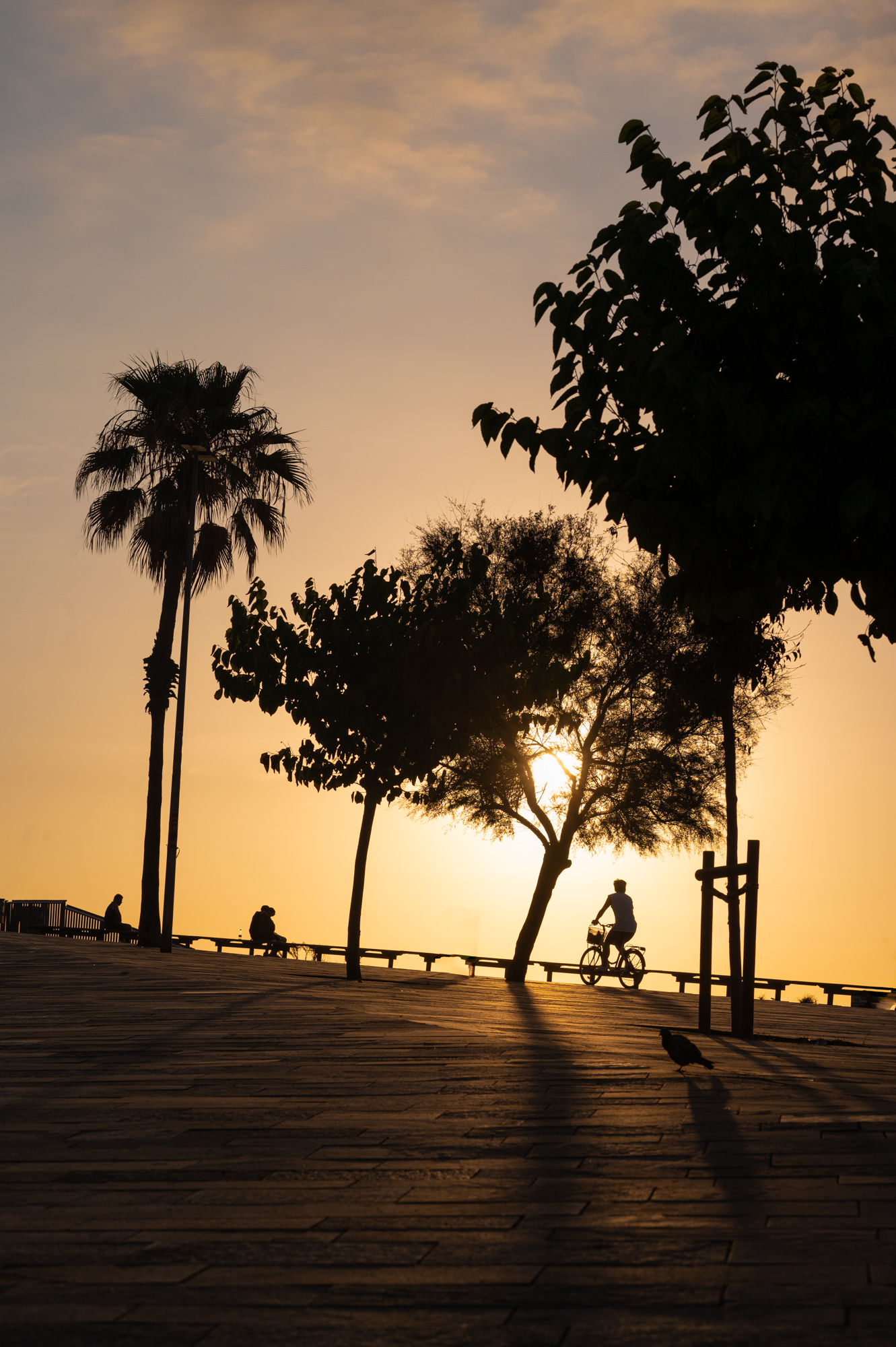 Sunrise Series