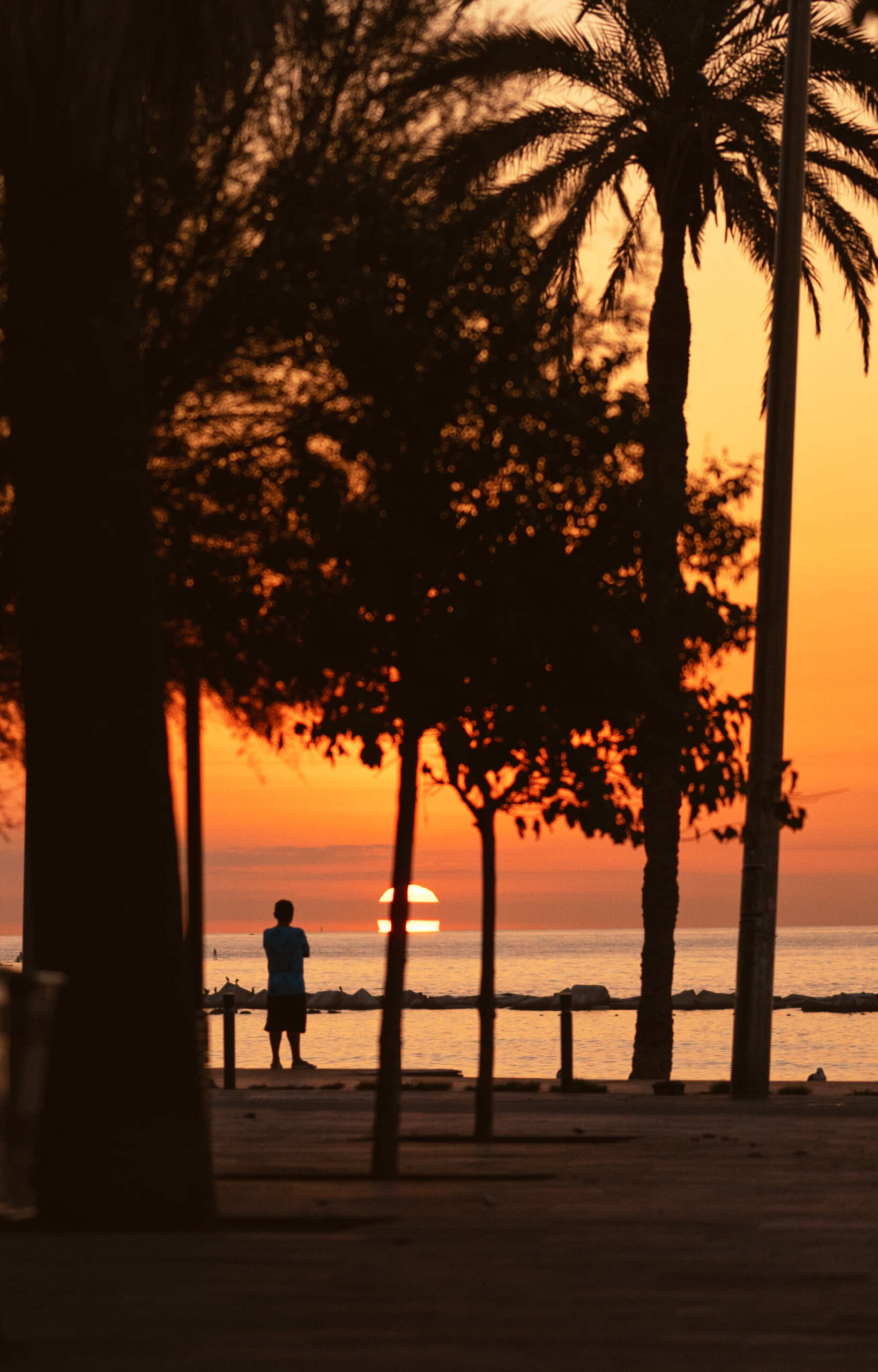 Sunrise Series
