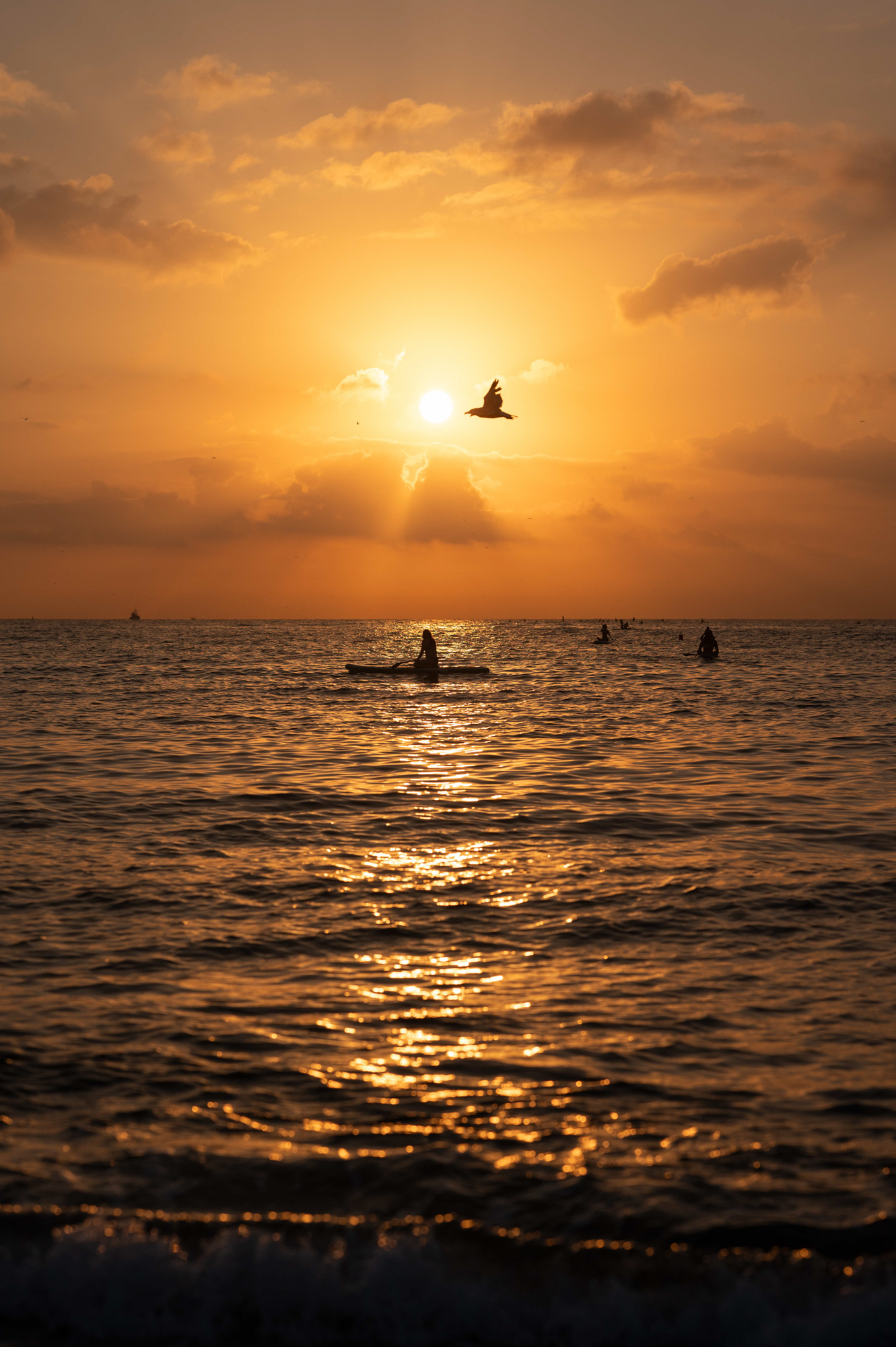 Sunrise Series