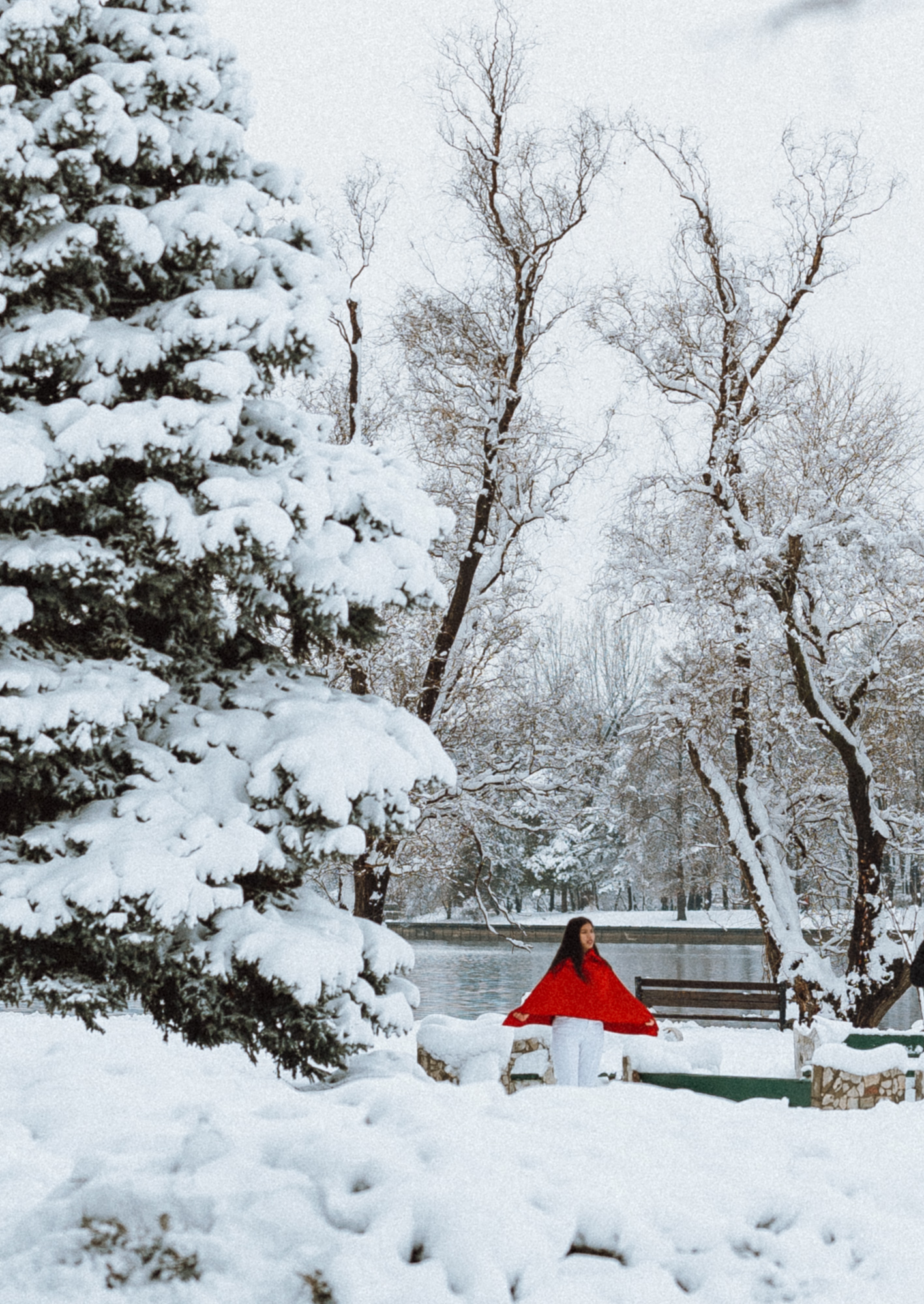 Winter Series