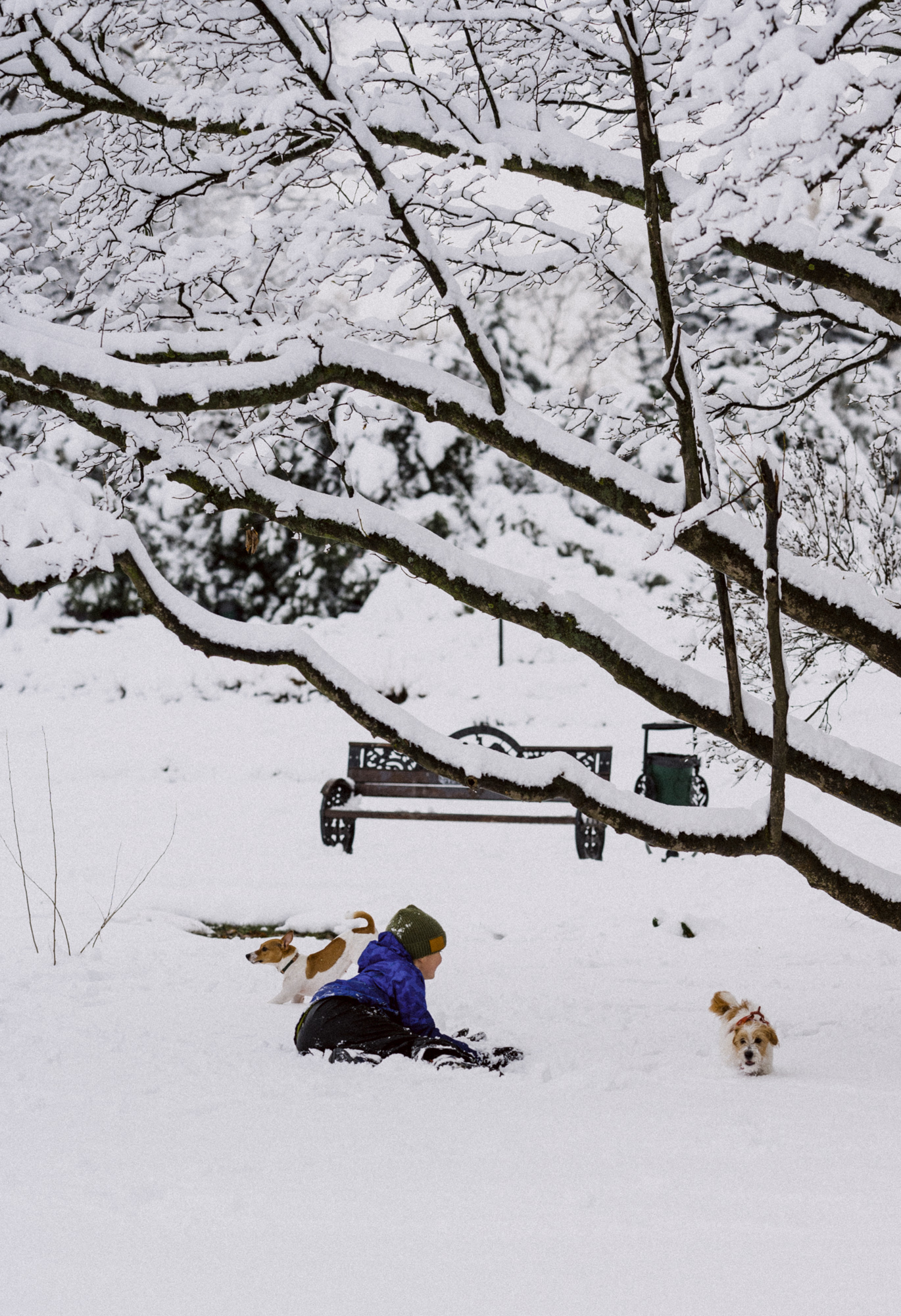 Winter Series