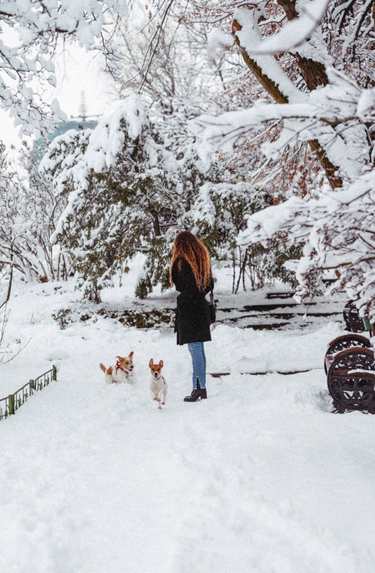 Winter Series