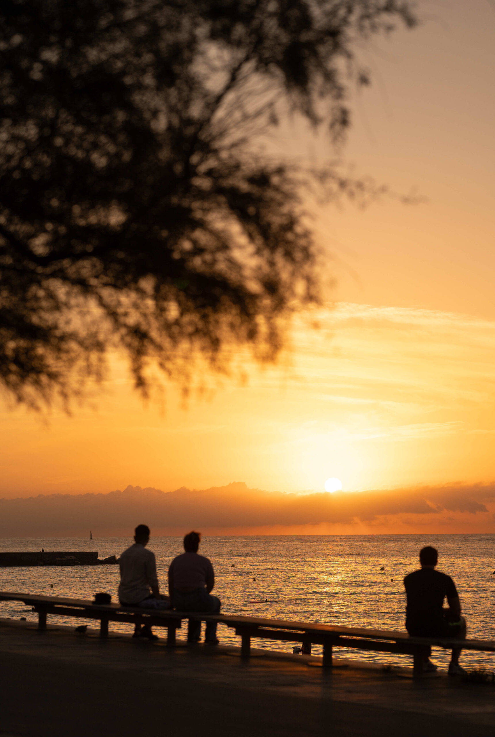 Sunrise Series