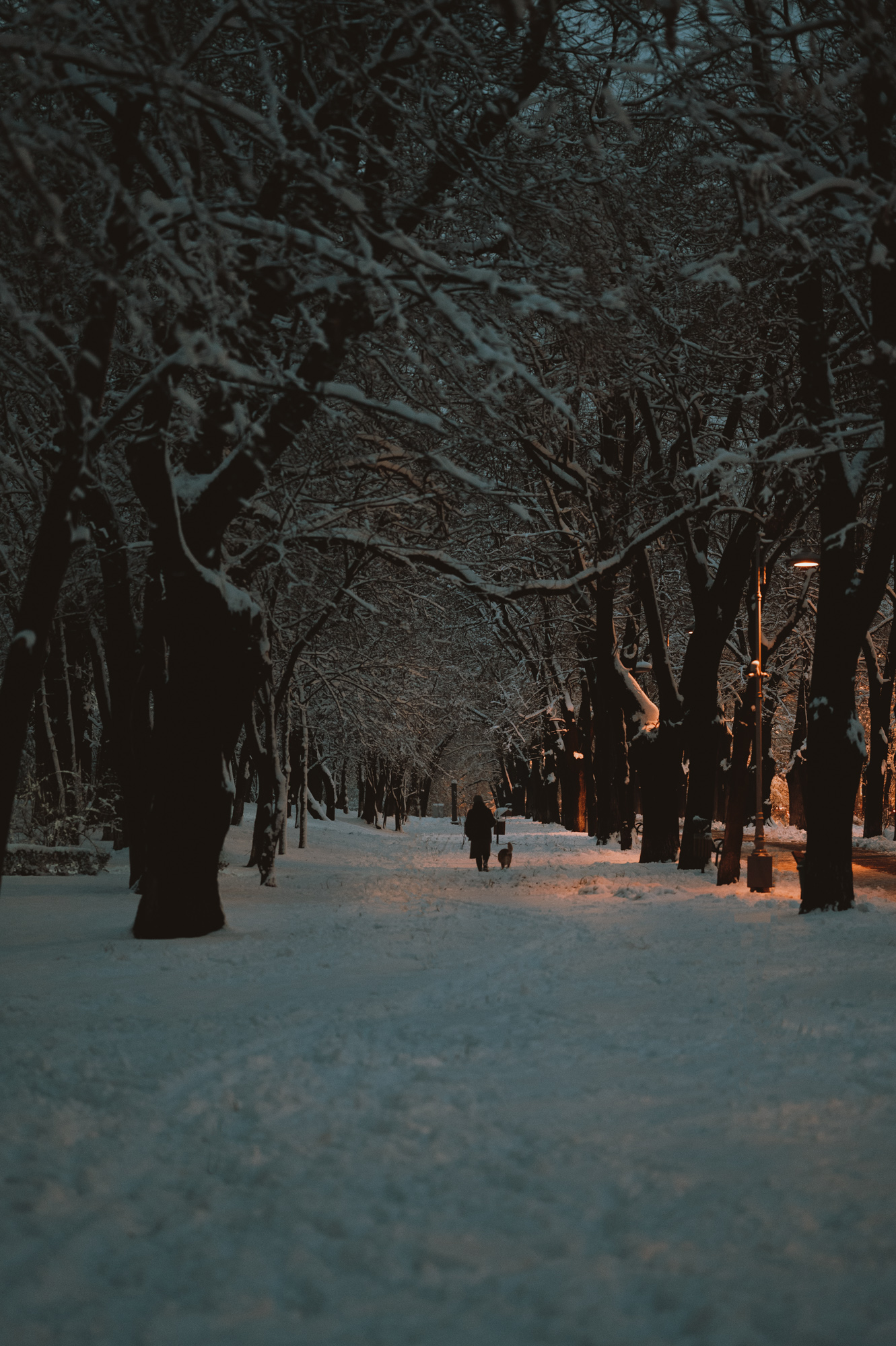 Winter Series