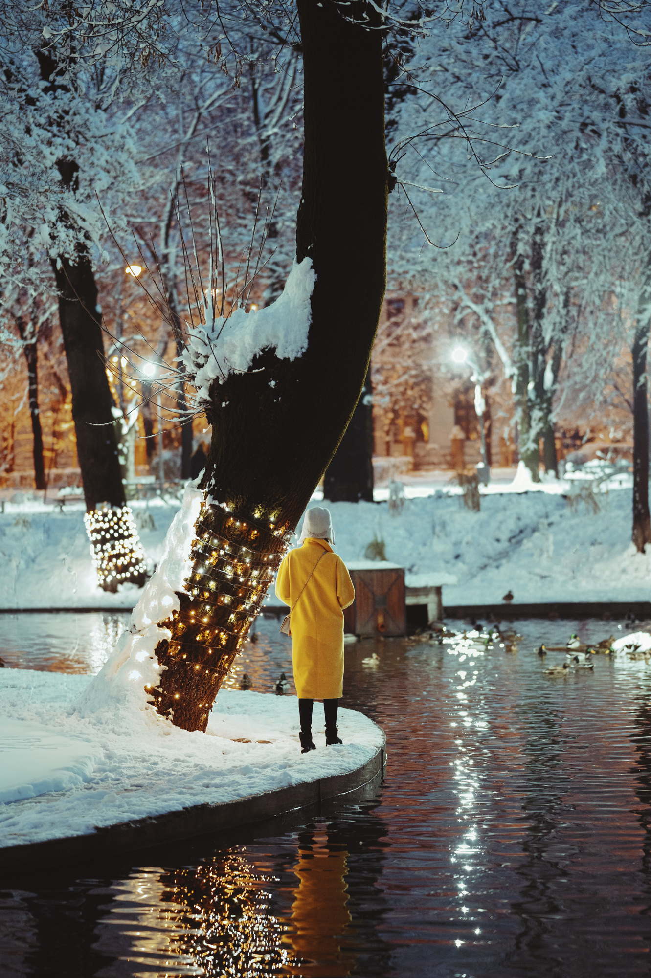 Winter Series