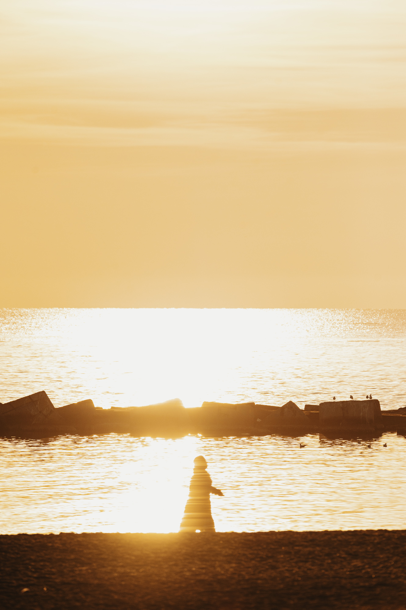 Sunrise Series